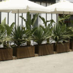 salon de jardin à Genève
