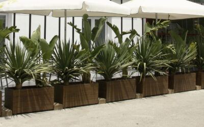 Intégrer un Mobilier de Jardin Haut de Gamme dans un Style Moderne et Épuré à Genève
