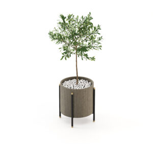 Le Rosie Pot de Fleur